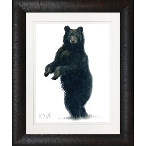 KS- BLACK BEAR 2